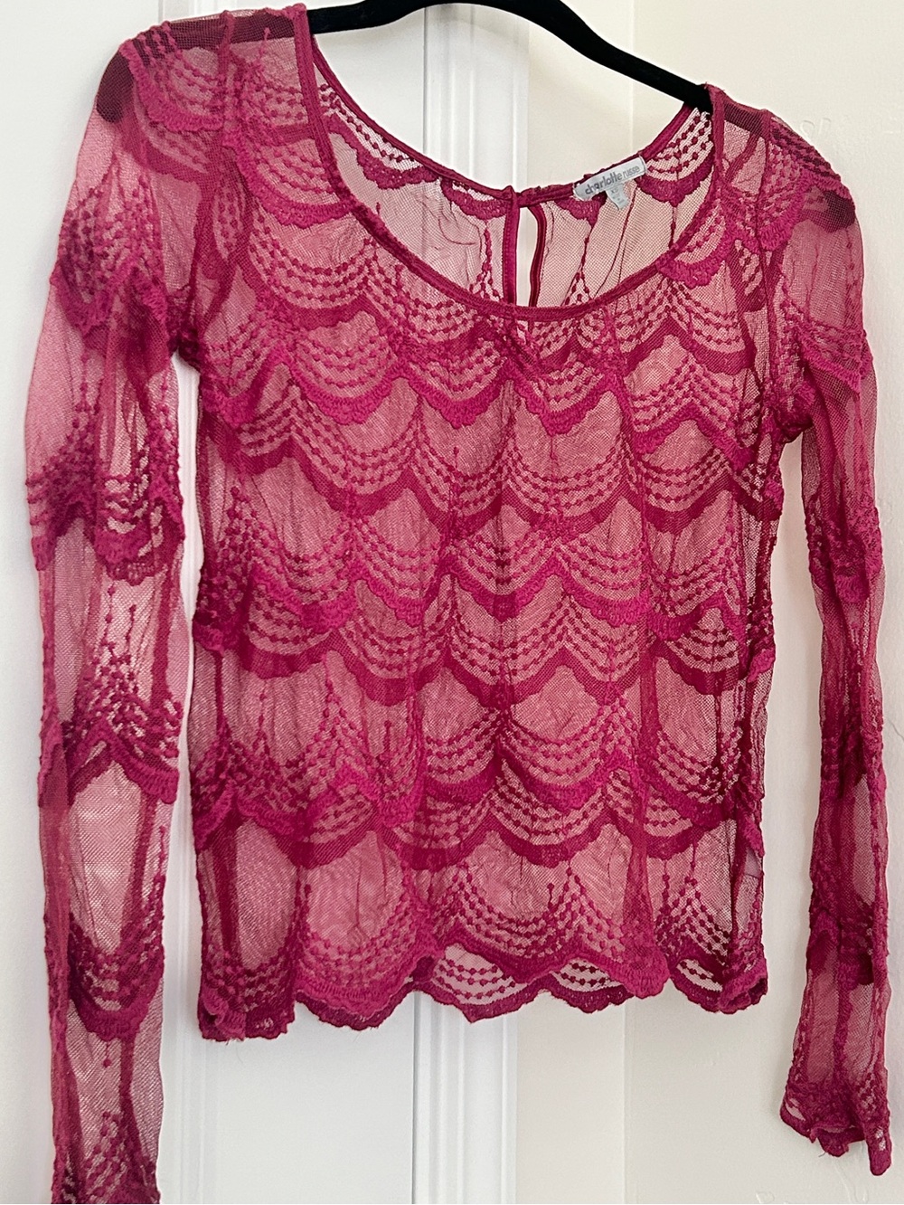 Sheer Lace Long Sleeve Top in Magenta by Charlotte Russe
